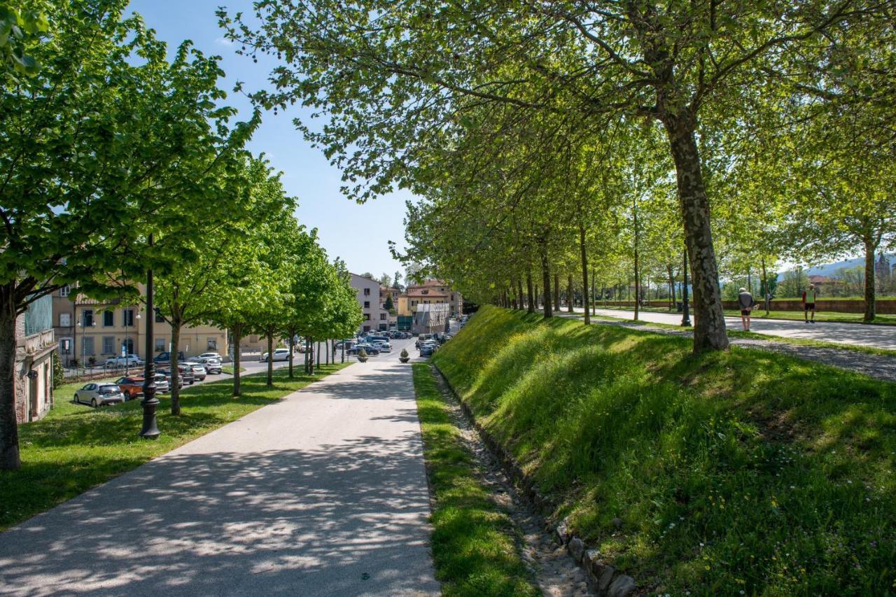 Cittadella Homes Lucca Eksteriør billede
